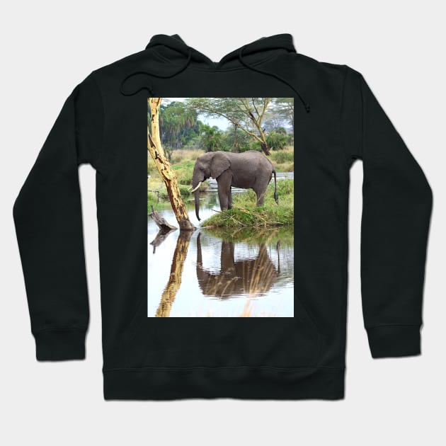 African Elephant, Serengeti National Park, Tanzania. Hoodie by Carole-Anne